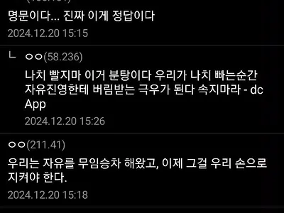 디씨 국힘겔에 올라왔던 글