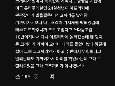 코끼리의 놀라운 지능 수준.jpg