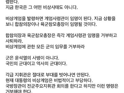 비상계엄 선포 당시, 육군사관학교 교수의 글