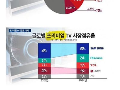 현재 세계 TV 시장 근황.jpg