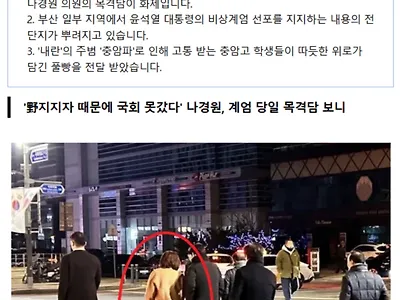 '野지지자 때문에 국회 못갔다' 나경원, 계엄 당일 목격담 보니