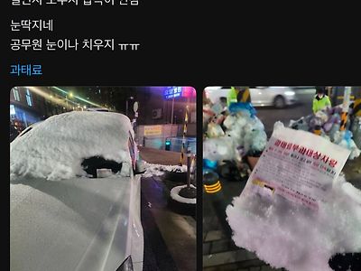 폭설에 과태료 물어서 빡친 차주 