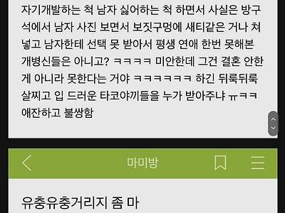 결국 페미는 여자가 상대를 해야 됨