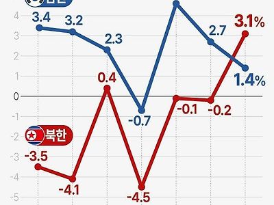 지금까지 한번도 보지못한 그래프