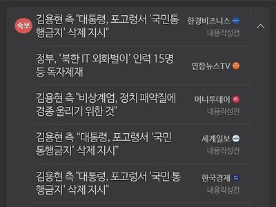 펌글) 내란범 입 언론 공범들 명단