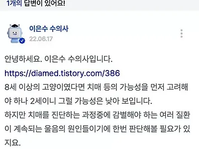 새벽에 우는 고양이 고민 질문에 수의사의 답변