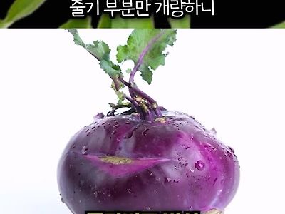 인류 역사상 가장 성공한 식물 개량 프로젝트