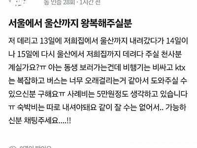 당근마켓 왕복녀.jpg