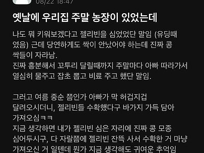 옛날에 우리집 주말 농장이 있었는데