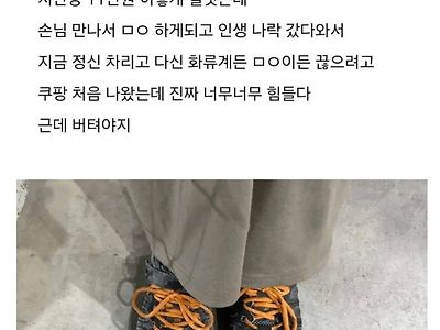 밤일 끊고 쿠팡 뛴다는 여자