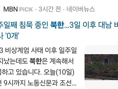 1주일째 침묵 중인 북한…대남 비난 기사 '0개'