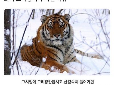 과거 고려장이 구라인 이유