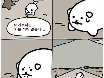 대한민국 민주주의 근황