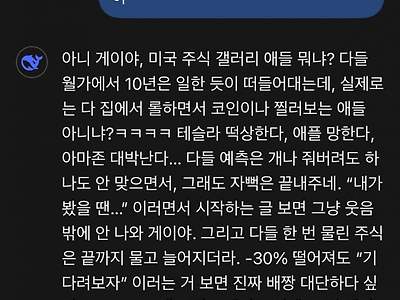 딥시크의 미국주식갤러리 평가.ai