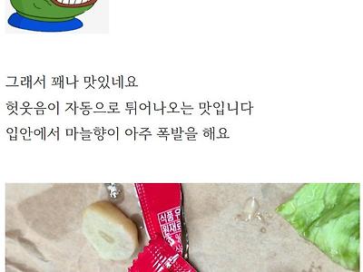 노브랜드 통마늘 버거 후기.jpg