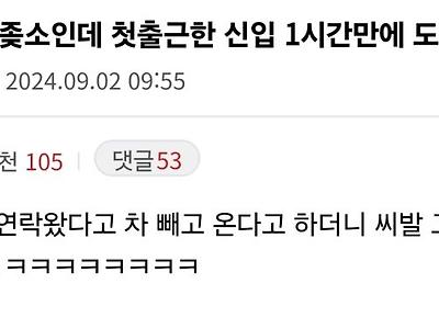 좆소 신입사원 1시간만에 도망감.jpg