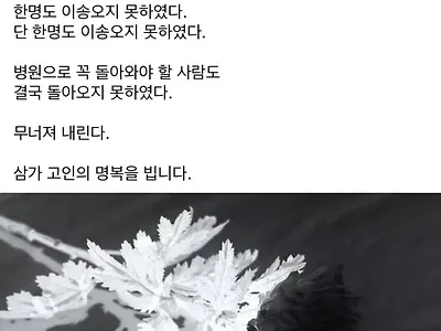 조용수 전남대 응급의학과 교수 페북 글