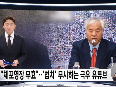 극우 유튜버 내란선동범들