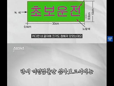 초보운전 의무부착이 사라진 이유