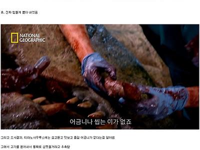 진짜 티라노사우르스 근황