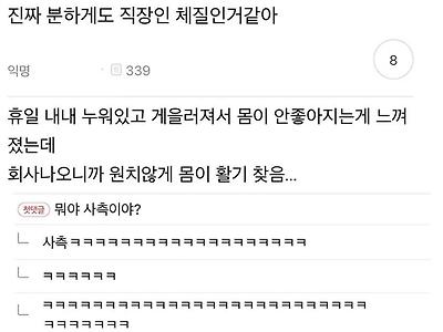 분하게도 직장인 체질 같아