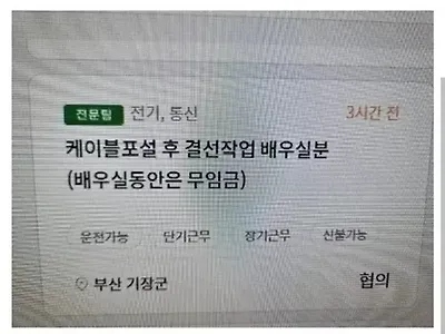 이러니 일을 안하지