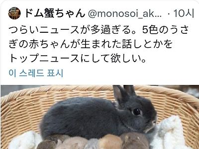 요새 암울한 뉴스가 너무 많다