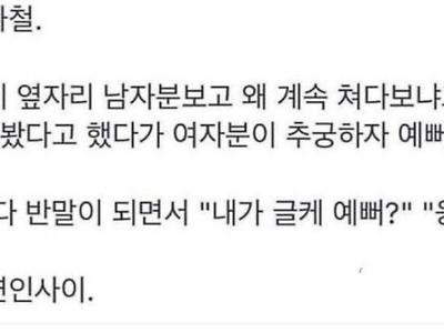 흔한 지하철 ㅊㅈ때문에 억울한 남자甲.