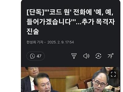 사형 시발아