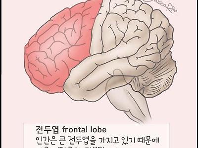 전두엽 손상 자가체크
