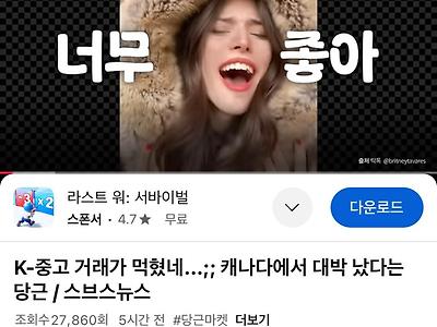 [기타] 	        무작정 캐나다에서 사업 열었던 당근마켓 근황