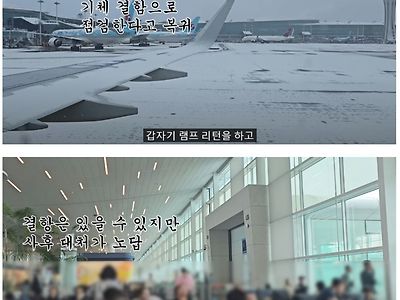 독과점 항공사의 베짱운영의 현실