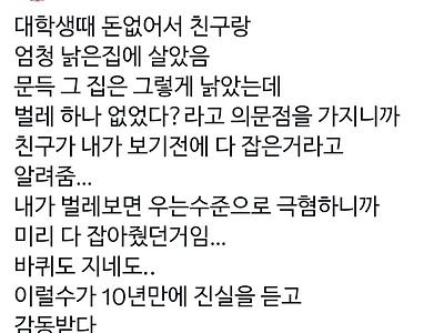 엄청많이 낡은 집에 벌레가 하나도 없었던 이유