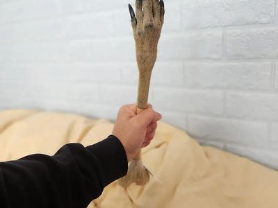 호주 특산품