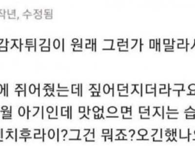 무식무식 애엄마 배달 후기