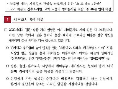 국세청, 스드메의 문단속 시작