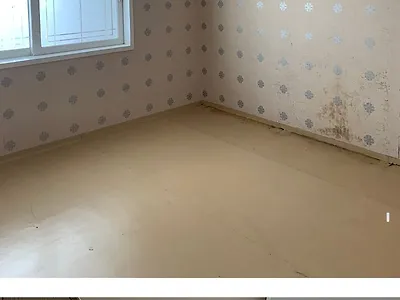LH 임대주택을 세 번이나 돌아본 사람