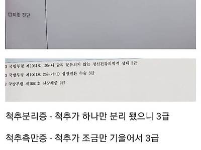 요즘 군대 현역가는 몸상태