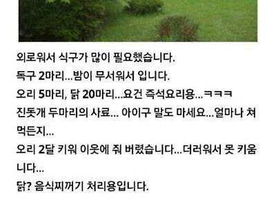 전원주택 실제 생활 후기