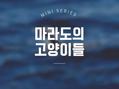 마라도의 고양이들