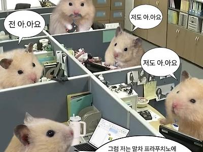 오늘은 제가 커피 쏠게요 뭐 드실래요