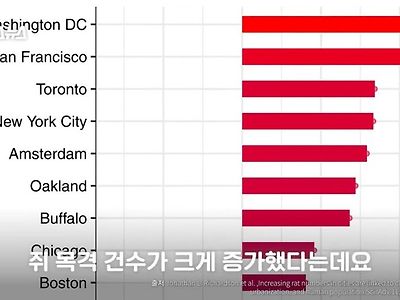 지구 온난화로 전 세계 390% 쥐가 늘었다