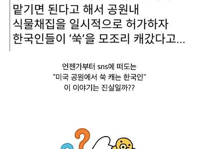 미국 : 공원에 한국인을 풀어라