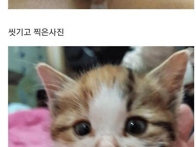 회사 물류창고에서 냥줍
