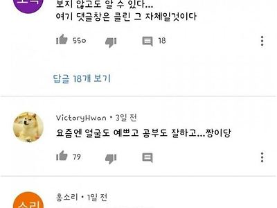 세상에서 제일 깨끗한 유튜브 댓글 창