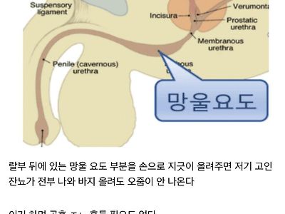 싱글벙글 잔뇨 처리법.jpg