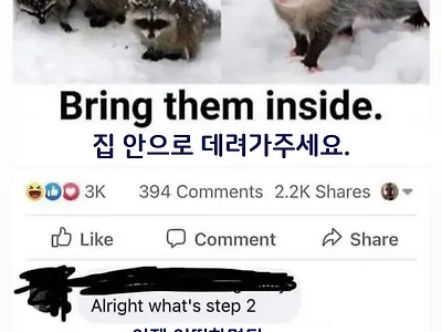 동물들도 추워해요ㅠㅠ 여러분의 집으로 데려가주세요
