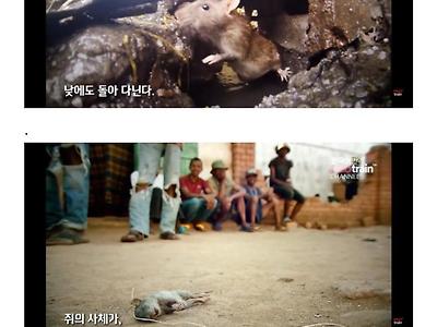 굶어죽는 최악의 교도소.jpg