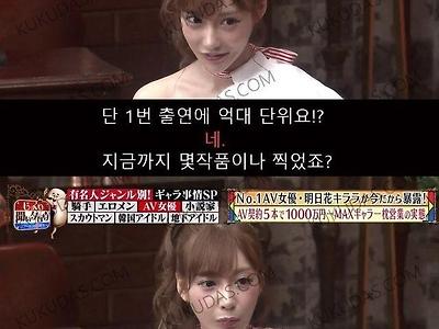 일본 AV 여배우의 수입