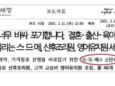 신카이 마코토 : 한국 국세청, 재밌다.